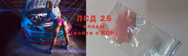 ПСИЛОЦИБИНОВЫЕ ГРИБЫ Новодвинск