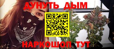 дживик Дубна