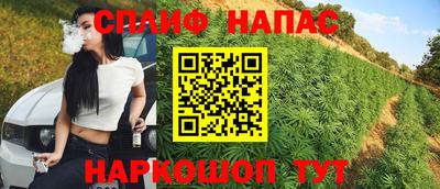 дживик Дубна