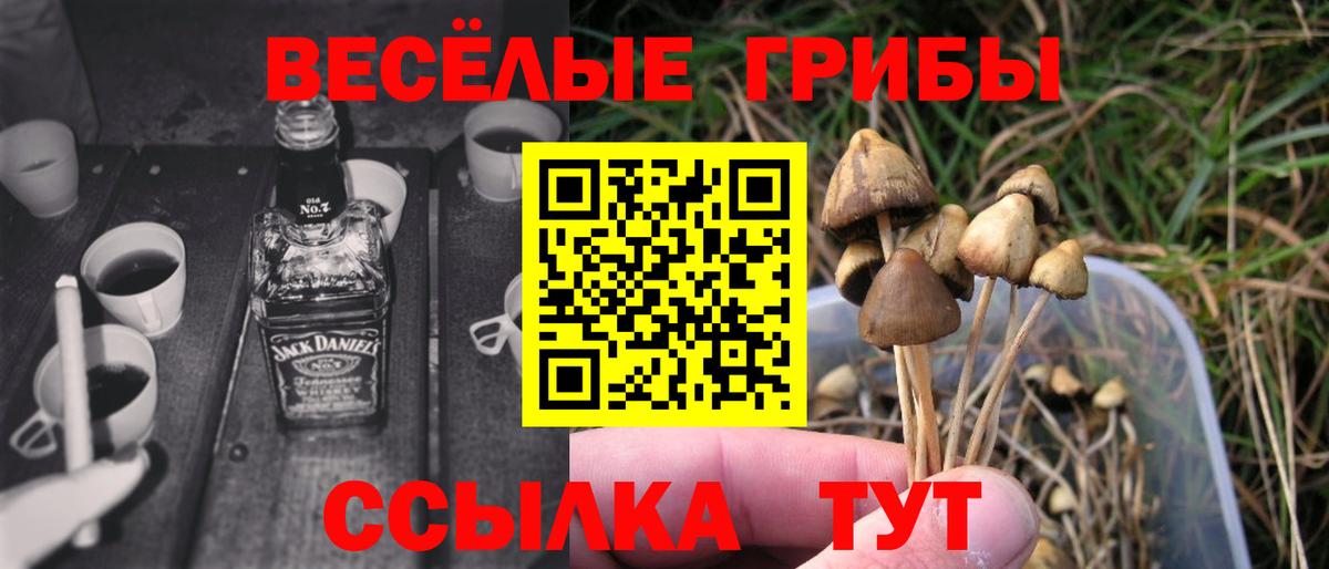 Галлюциногенные грибы ЛСД  Вход с VPN  Новый Уренгой 